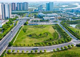 2026美加墨世界杯官网 建阳市政道路绿化树苗种类大全