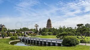 宜都绿化苗木基地在哪个城市